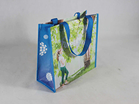 non woven shopping bag