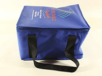 cooler bag