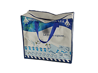 non woven bag